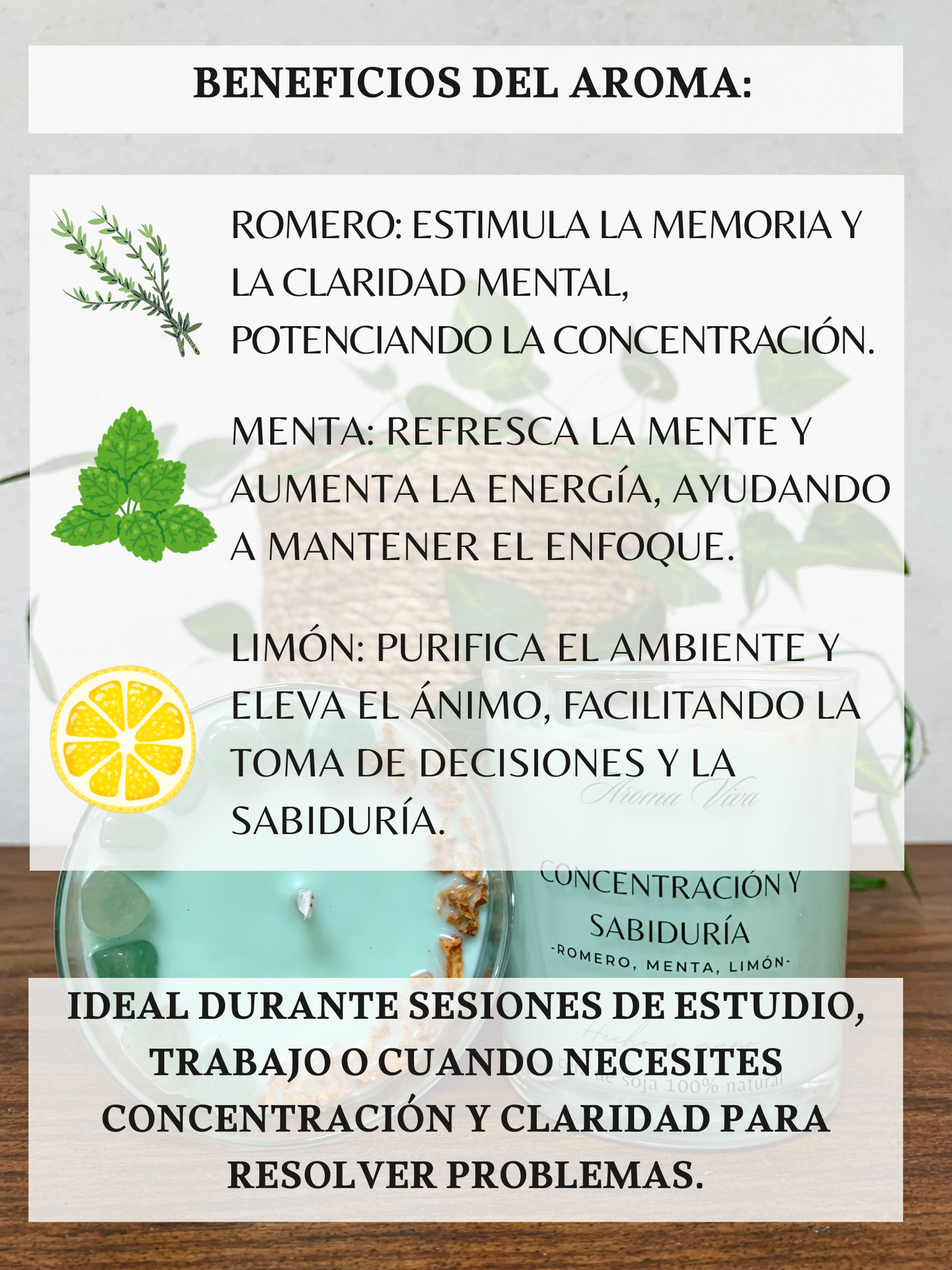 Vela de soja – Concentración y Sabiduría