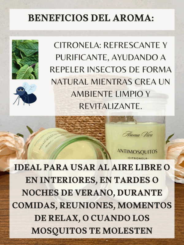 VELA CITRONELA TARRO VIDRIO - Imagen 4